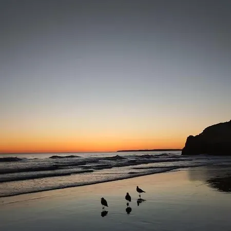 See The Sea In Praia Da Rocha *